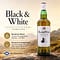 Black & White Blended Scotch Whisky Literflasche 1 Liter/ 40.0% vol Vorschau