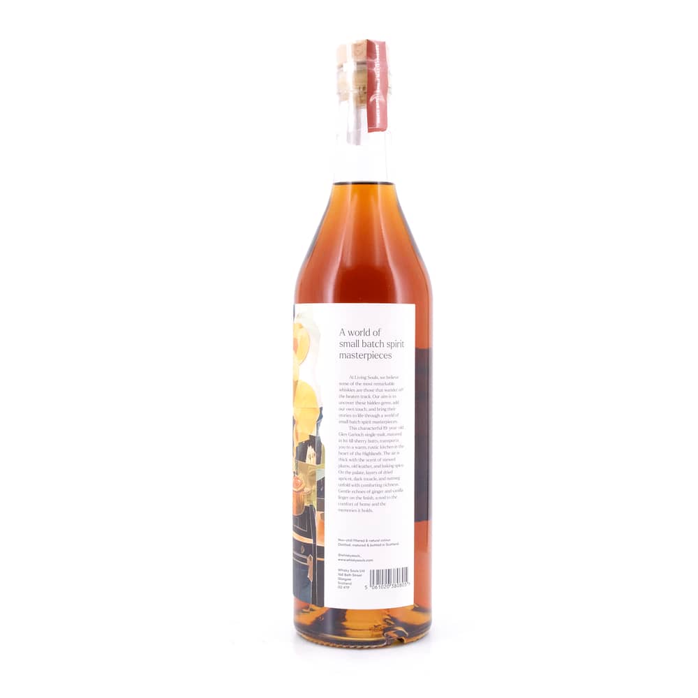 Living Souls Glen Garioch 19 Jahre 1st Fill Sherry Butts 0,70 Liter/ 48.0% vol Produktbild