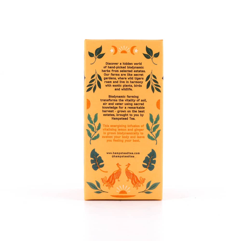 Hampstead Tea BIO Organic Lemon Ginger 20 Teebeutel 30 Gramm Produktbild