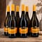 Villa Sandi Prosecco Frizzante DOC Treviso Stelvin 6er Sparset 4,50 Liter/ 10.0% vol Vorschau